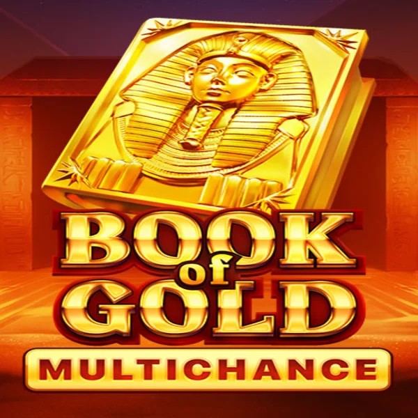 Slots logo of Book of Gold Multichance from Playson at Slimking Casino