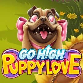 Go High Puppy Love game by RubyPlay – logo hosted on Slimking Casino